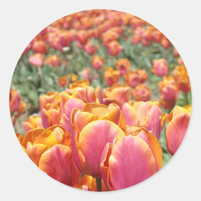 Tulip Flowers stickers Envelope seals Spring (Front)
