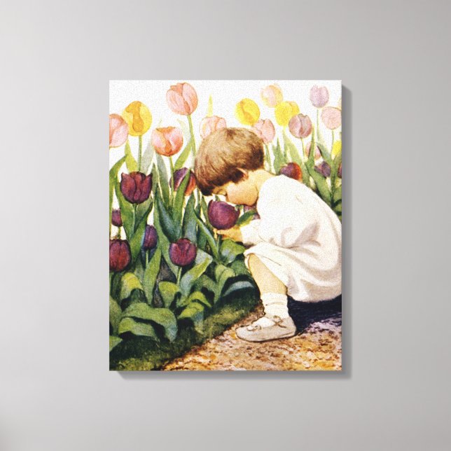 Tulip Garden Canvas Print (Front)