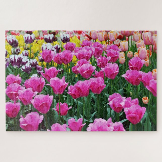 Tulip Garden Jigsaw Puzzle (Horizontal)