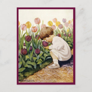 Tulip Garden Postcard