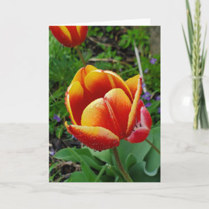 Tulip greeting card