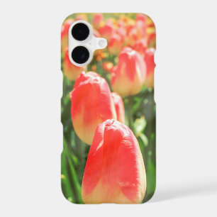Tulip Heaven