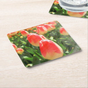 Tulip Heaven Square Paper Coaster