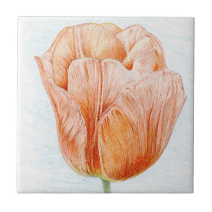 Tulip in Beautiful Peach Color Tile