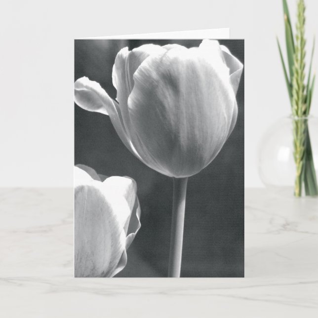 Tulip in Black and White Card (Front)