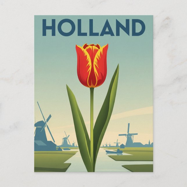 Tulip in Holland Netherlands Postcard (Front)