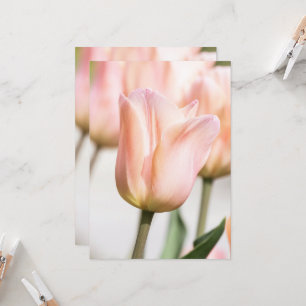 TULIP INVITATION