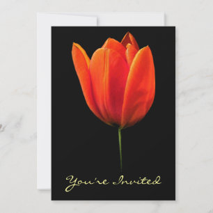 Tulip Invitation