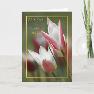 tulip Lady Jane Mothers day Card