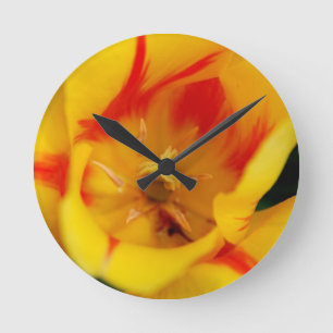 tulip macro round clock