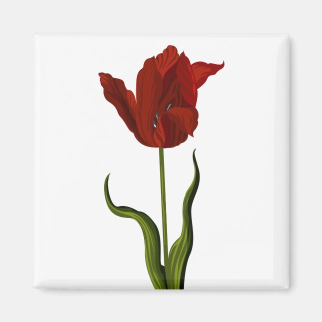 Tulip Magnet (Front)