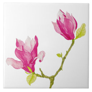 Tulip Magnolias on a Ceramic Tile (1)