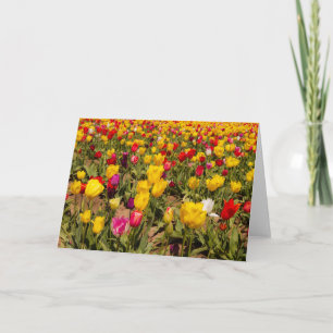 Tulip mania blank greeting Card