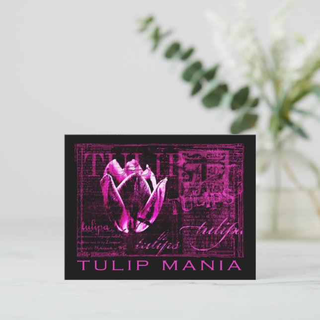 Tulip Mania Postcard (Standing Front)