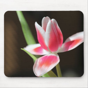 Tulip Mouse Pad