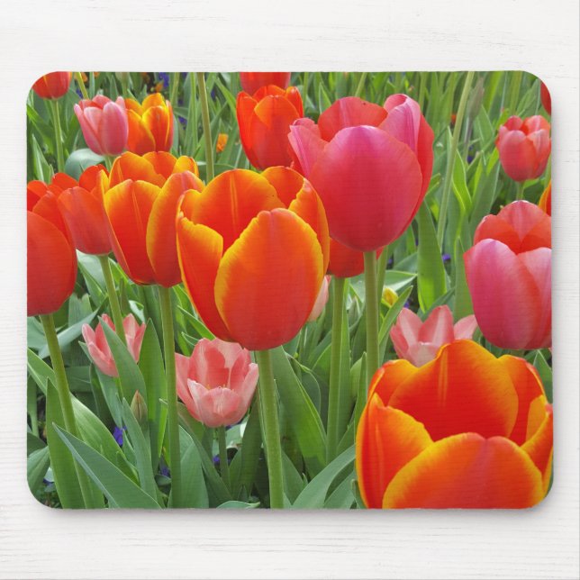Tulip Mouse Pad (Front)
