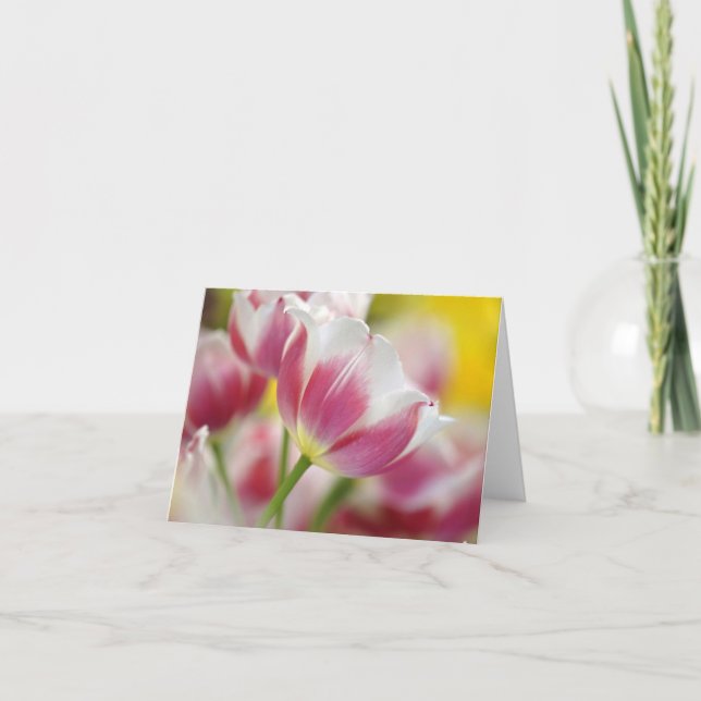 Tulip Note Cards (Front)
