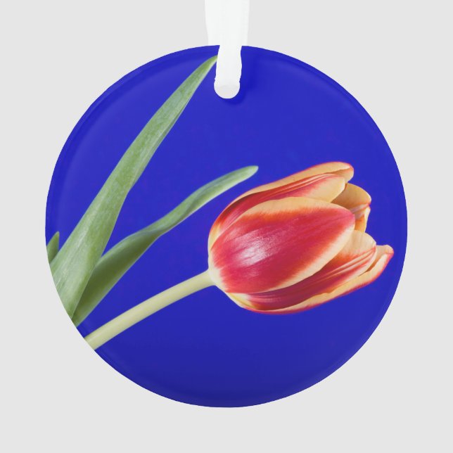 Tulip on blue background ornament (Back)