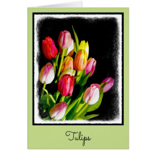 Tulip Painting - Original Flower Art