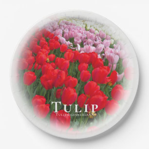 Tulip Paper Plate