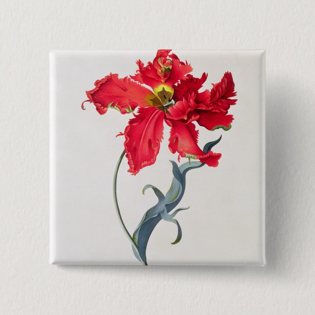 Tulip: Perroquet Rouge 15 Cm Square Badge (Front)