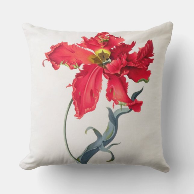 Tulip: Perroquet Rouge Cushion (Front)