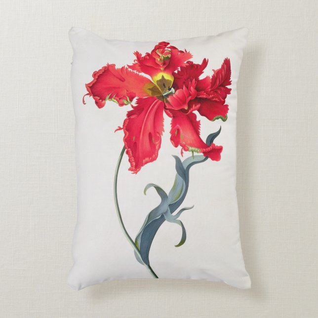 Tulip: Perroquet Rouge Decorative Cushion (Front(Vertical))