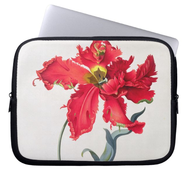 Tulip: Perroquet Rouge Laptop Sleeve (Front)