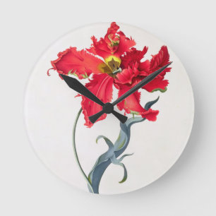 Tulip: Perroquet Rouge Round Clock