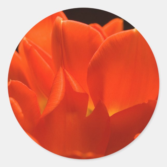 Tulip Petals Stickers (Front)