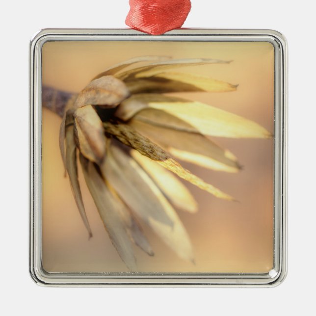 Tulip Poplar Empty Seed Pod Metal Tree Decoration (Front)