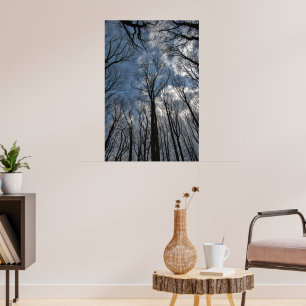 Tulip Poplar Trees Cloudy Blue Sky Poster