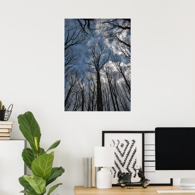 Tulip Poplar Trees Cloudy Blue Sky Poster (Home Office)