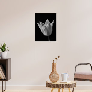 Tulip Poster