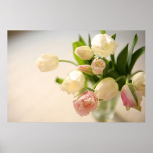 Tulip Poster