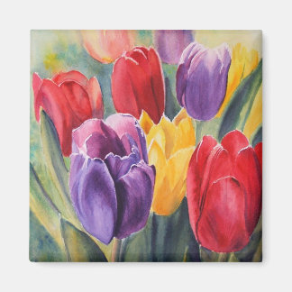 Tulip rainbow magnet