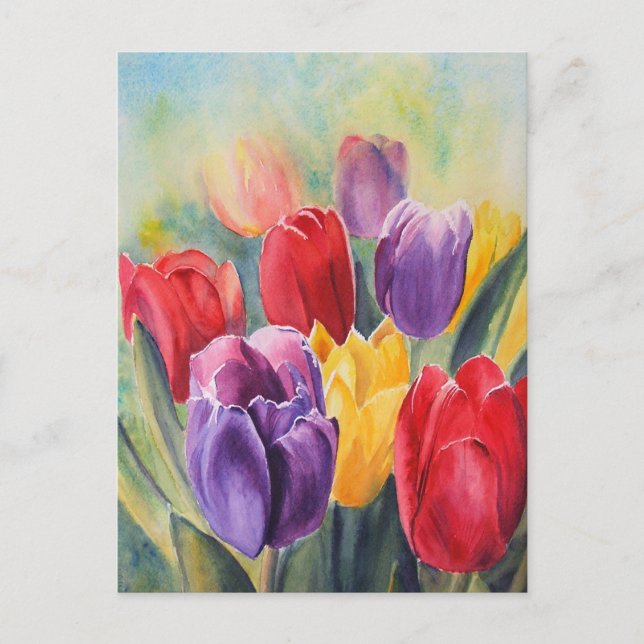Tulip rainbow postcard (Front)