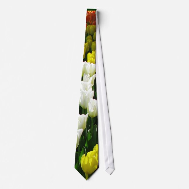 Tulip Rainbow Wave Tie (Front)
