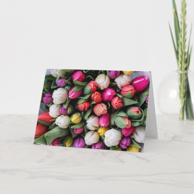 Tulip Spring Greeting Card (Front)