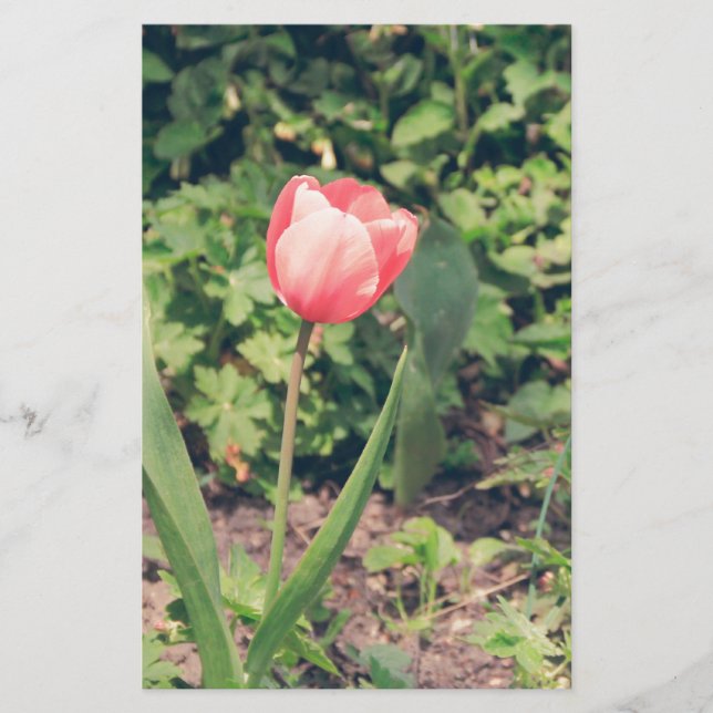 Tulip Stationery (Front)