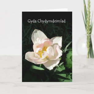 'Tulip' Sympathy Card - Welsh Greeting