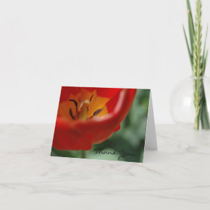 Tulip thank you, by H.A.S. Arts You Card