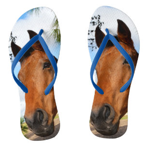 Tulip The Brown Bay Horse, Blue Jandals