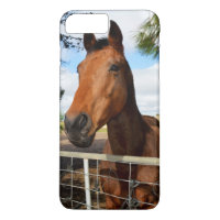 Tulip The Brown Bay Horse,