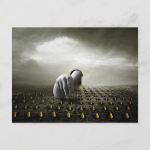 Tulip thief 2013 postcard