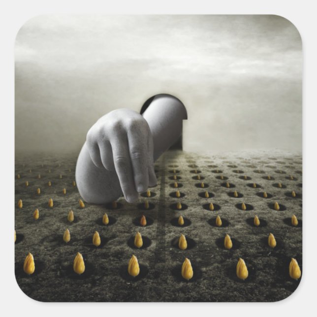 Tulip thief 2013 square sticker (Front)