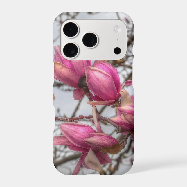 Tulip Tree Blossoms (Back)