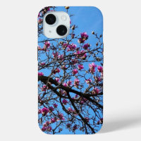 Tulip Tree