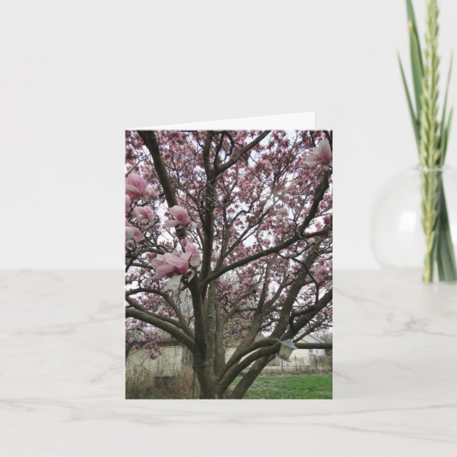 Tulip Tree Spring Has Sprung Card (Front)