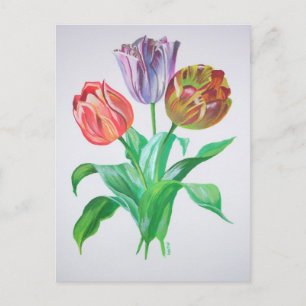 Tulip Trio Colourful Artistic Flowers Postcard